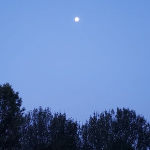 Meet your Posher, Richard